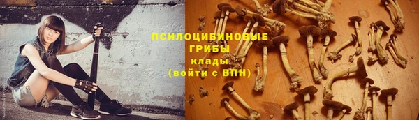 скорость Алексин