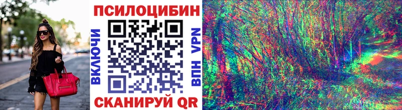 Галлюциногенные грибы Psilocybine cubensis  Усинск 