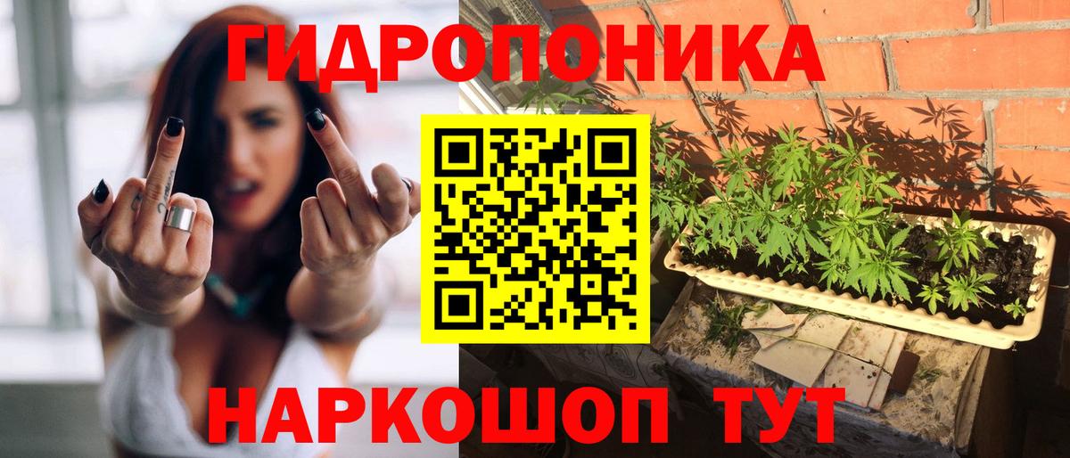 Бошки Шишки Amnesia Усинск